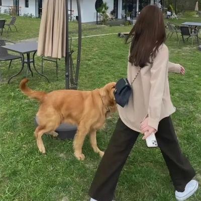双面疑云